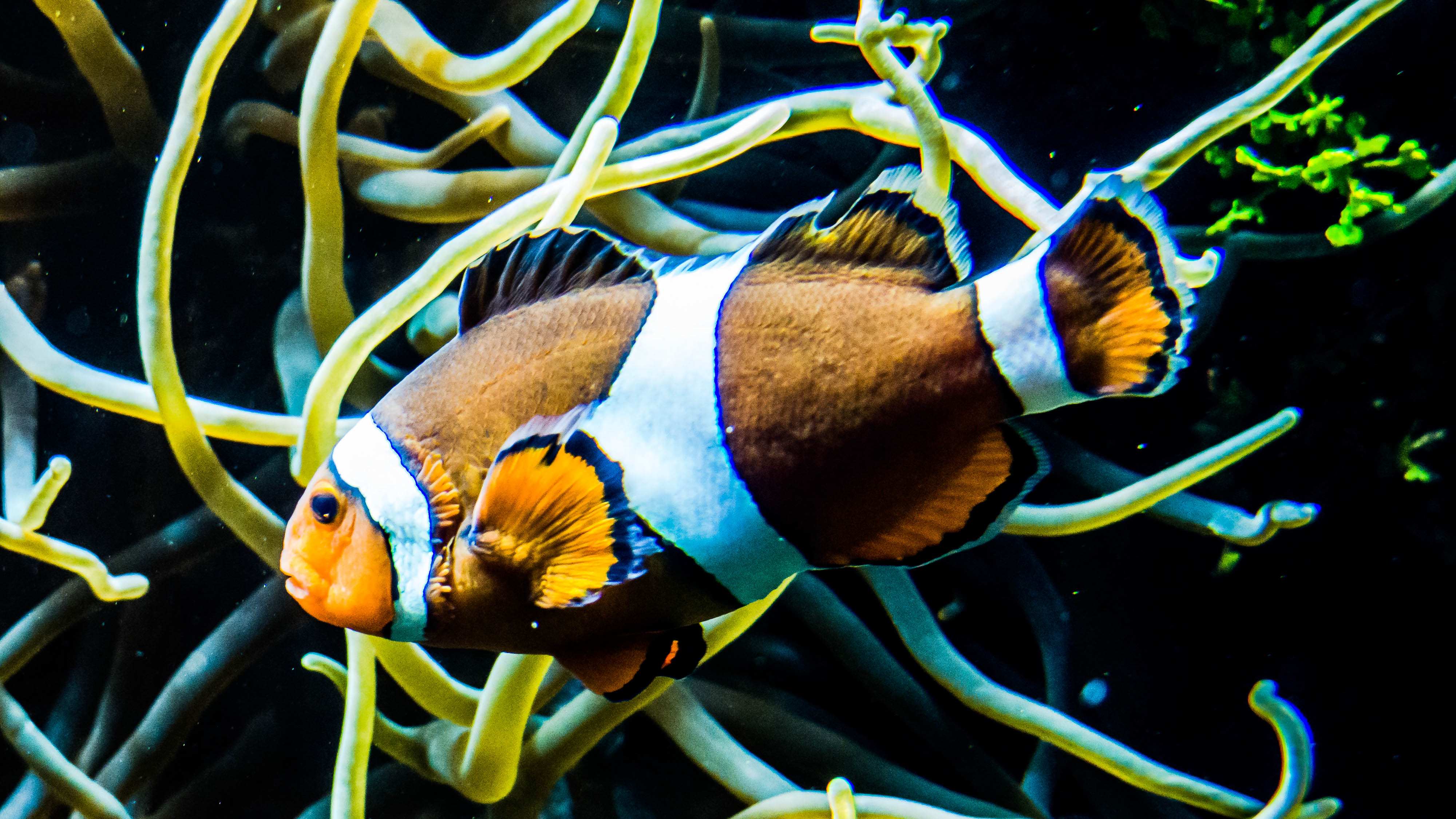 24 Strange Laws That Still Exist